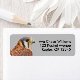 Stunning American Kestrel Sparrowhawk Falcon