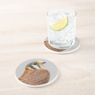 Stunning American Kestrel Sparrowhawk Falcon Coaster