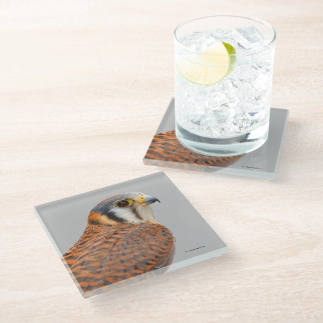 Stunning American Kestrel Sparrowhawk Falcon Glass Coaster (Angled)