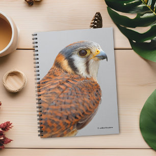 Stunning American Kestrel Sparrowhawk Falcon Notebook