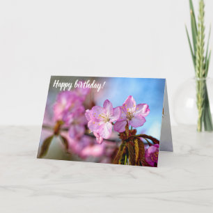 Stunning And Amazing Sakura Flowers In Springtime Card