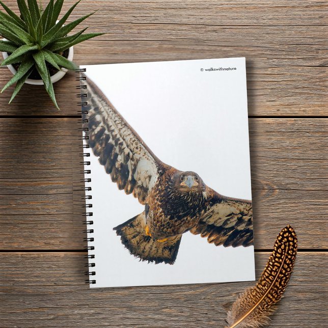 Stunning Bald Eagle Does a Flyover Notebook (Stunning Bald Eagle Does a Flyover Journal Cover Photo)
