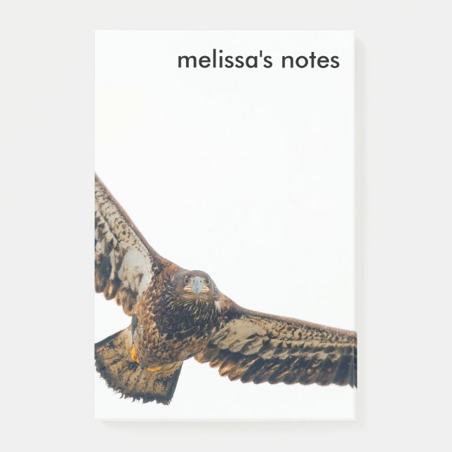 Stunning Bald Eagle Does a Flyover Post-it Notes (Front)