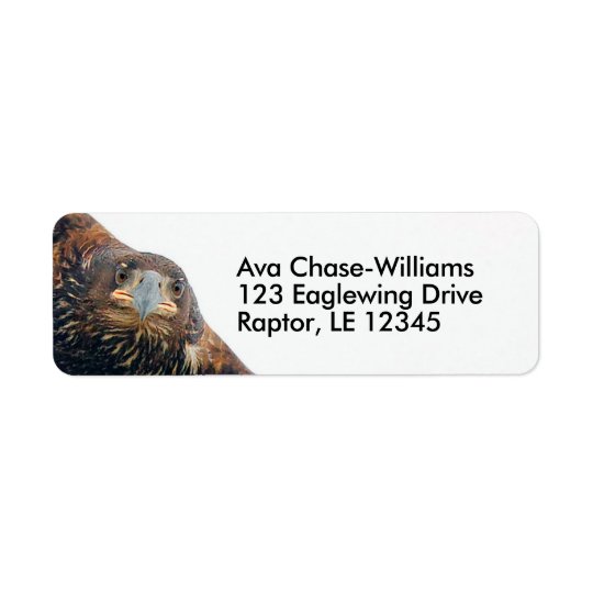 Stunning Bald Eagle Does a Flyover Return Address Label
