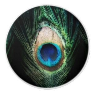 Stunning Black Peacock Ceramic Knob