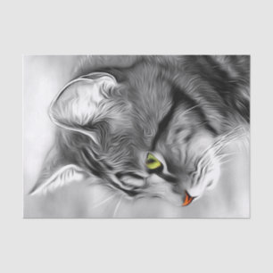 Stunning Black & White Kitty Cat Decoupage Tissue  Paper
