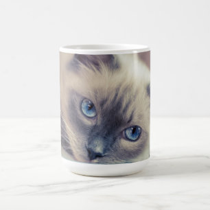 Stunning Blue Eyed Ragdoll Cat Magic Mug