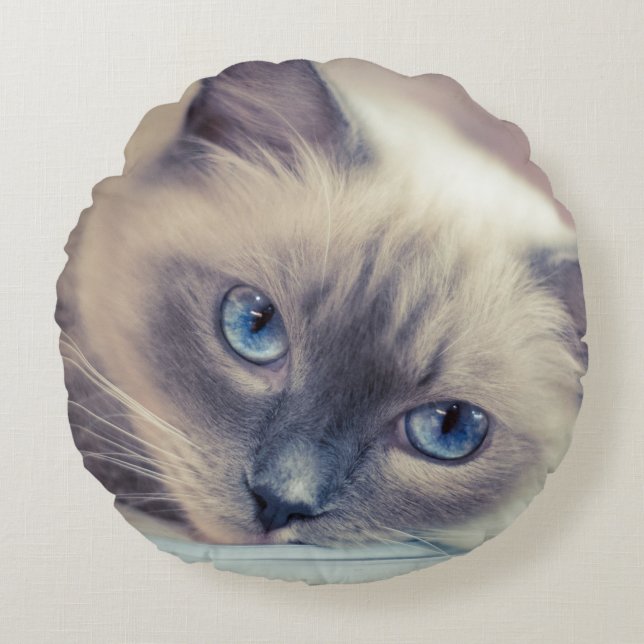 Stunning Blue Eyed Ragdoll‎ Cat Round Pillow (Front)