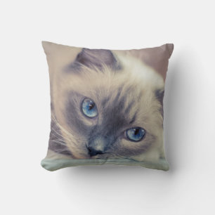 Stunning Blue Eyed Ragdoll Cat Throw Pillow