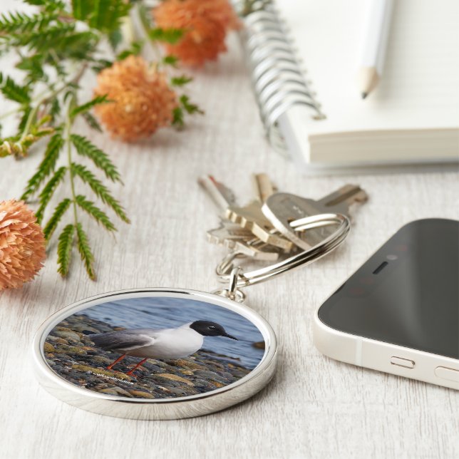 Stunning Bonaparte's Gull Seabird at Beach Keychain (Side)