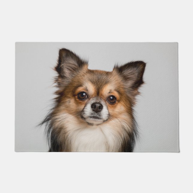 Stunning chihuahua portrait doormat (Front)