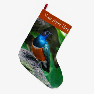 Stunning Colourful African Superb Starling Songbir Large Christmas Stocking