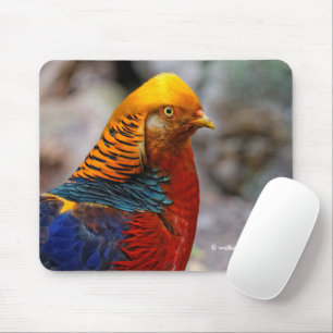 Stunning Colourful Red Golden Pheasant Gamebird Mouse Pad