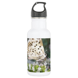 Stunning Cream and Chocolate Butterfly 532 Ml Water Bottle