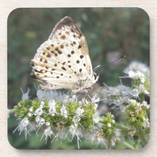 Stunning Cream and Chocolate Butterfly Coaster