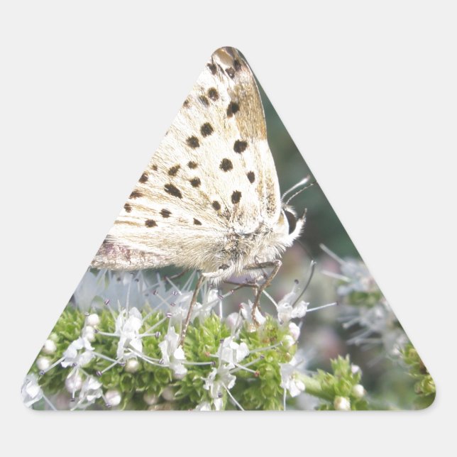 Stunning Cream and Chocolate Butterfly Triangle Sticker (Front)