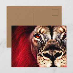 Stunning Fierce Wilderness Male Lion Postcard
