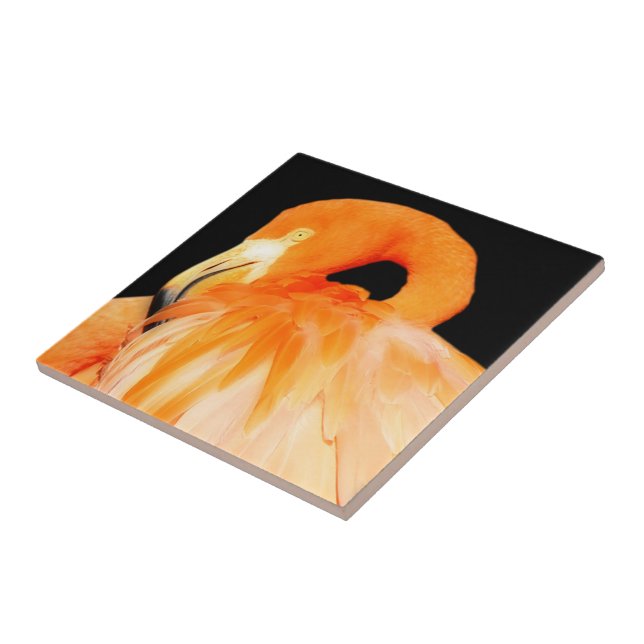 Stunning Flamingo Bird in the Summer Sun Tile (Side)