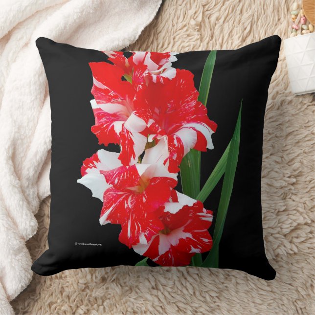 Stunning Floral Red & White Gladiolus Sword Lilies Throw Pillow (Blanket)
