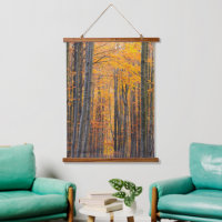 Stunning gold autumn forest