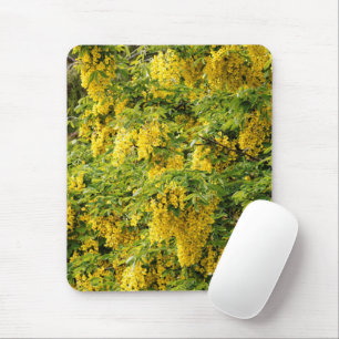 Stunning Golden Chain / Laburnum Tree Mouse Pad