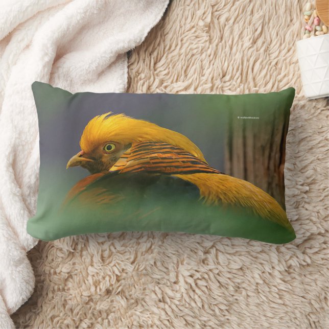 Stunning Golden Pheasant Gamebird Lumbar Pillow (Blanket)