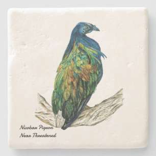 Stunning Hand-Painted Nicobar Pigeon Bird Stone Coaster