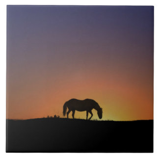Stunning Horse Art Tile