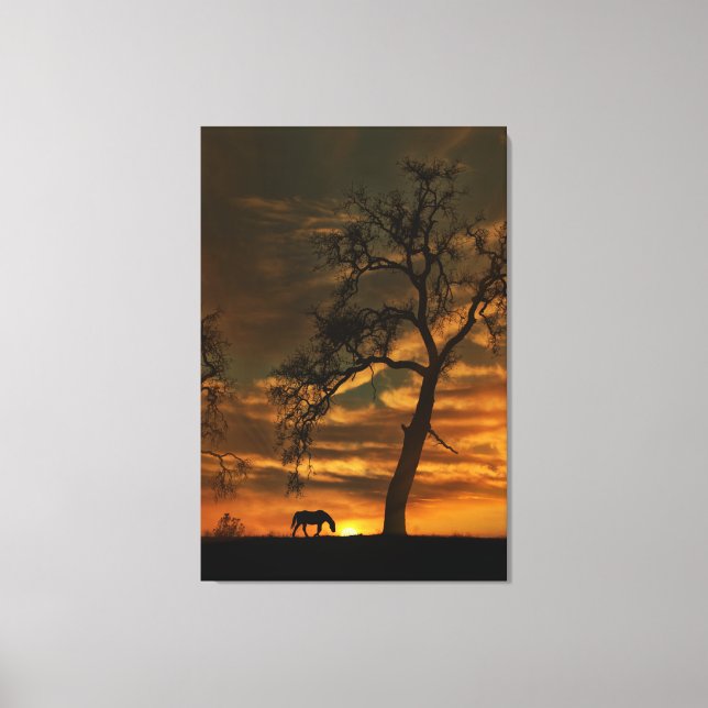 Stunning Horse Canvas Wall Art (Front)
