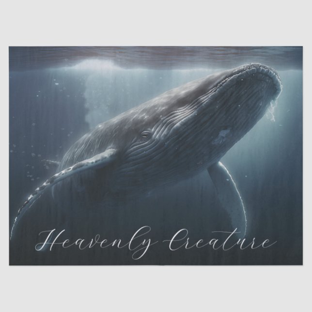 Stunning Humpback Whale Tissue Paper (Front)