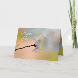 Stunning Japanese Apricot Flowers Thank You Card
