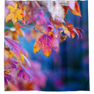 Stunning Japanese Maple leaves