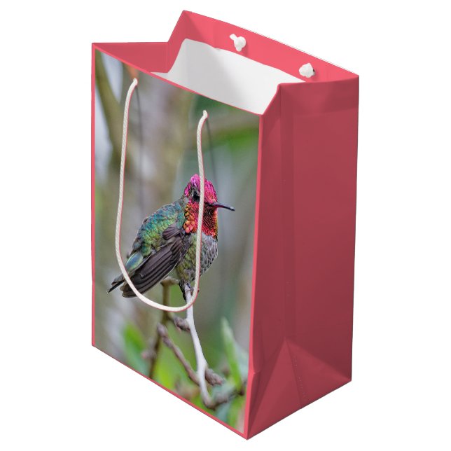 Stunning Male Anna's Hummingbird in Plum Tree Medium Gift Bag (Front Angled)
