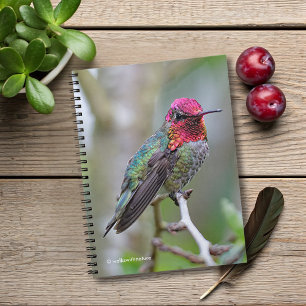 Stunning Male Anna's Hummingbird on the Plum Tree Notebook