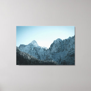 Stunning mountains and spruce forest canvas print