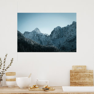 Stunning mountains and spruce forest poster
