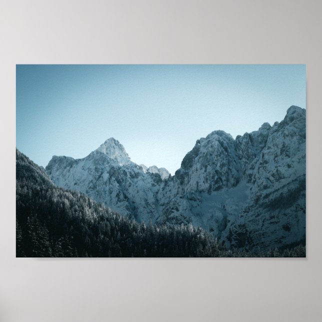 Stunning mountains and spruce forest poster (Front)