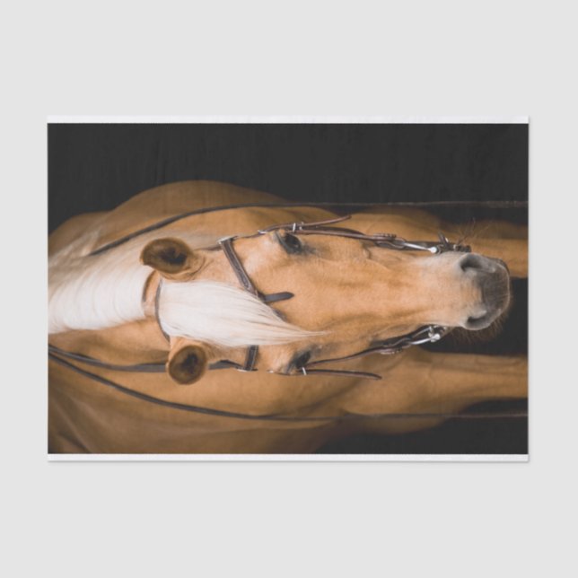 Stunning palomino horse tissue paper (Front)