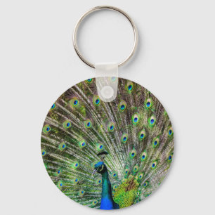 Stunning Peacock  and feathers photo accessories Keychain