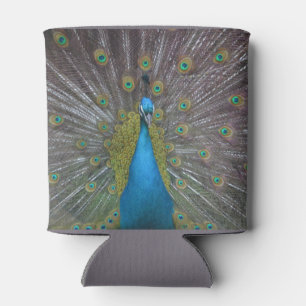 Stunning Peacock Can Cooler
