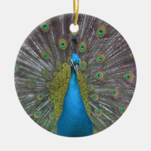 Stunning Peacock Ceramic Ornament