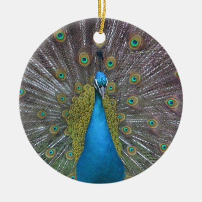 Stunning Peacock Ceramic Ornament (Front)