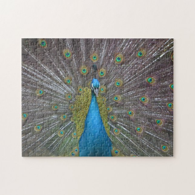 Stunning Peacock Jigsaw Puzzle (Horizontal)