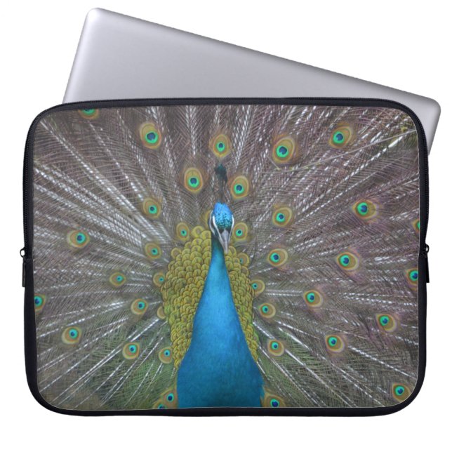 Stunning Peacock Laptop Sleeve (Front)
