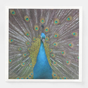 Stunning Peacock Napkin