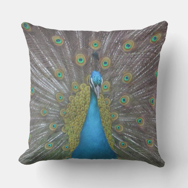 Stunning Peacock Outdoor Pillow (Front)