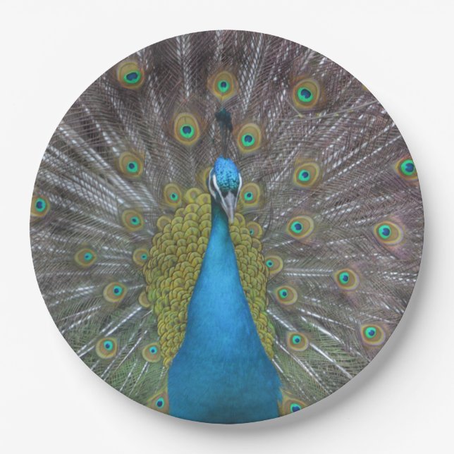 Stunning Peacock Paper Plate (Front)