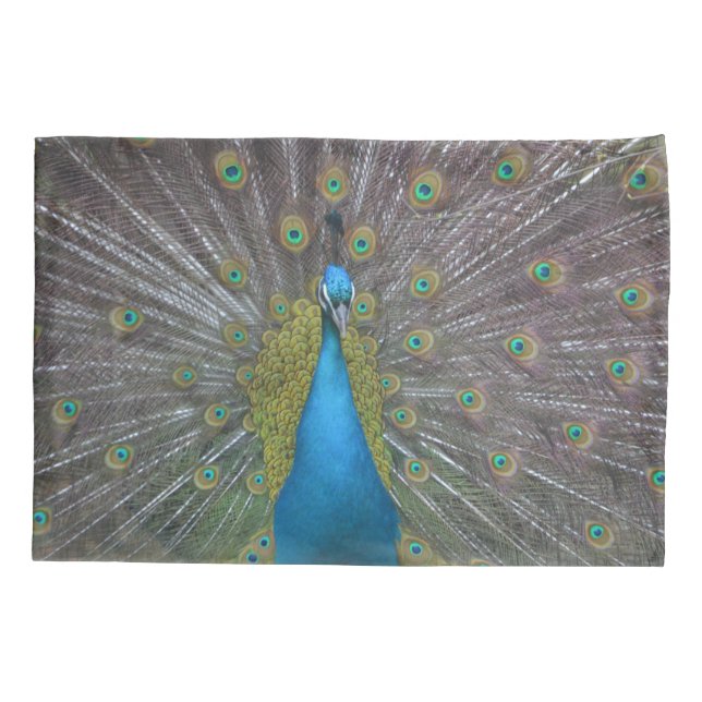 Stunning Peacock Pillowcase (Back)