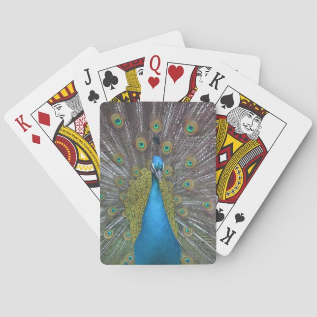 Stunning Peacock Playing Cards (Back)