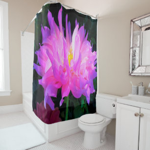 Stunning Pink and Purple Cactus Dahlia